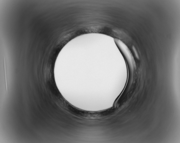X0000083580599200703091700