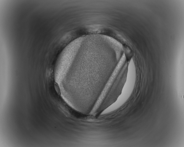 X0000083580601200703091700
