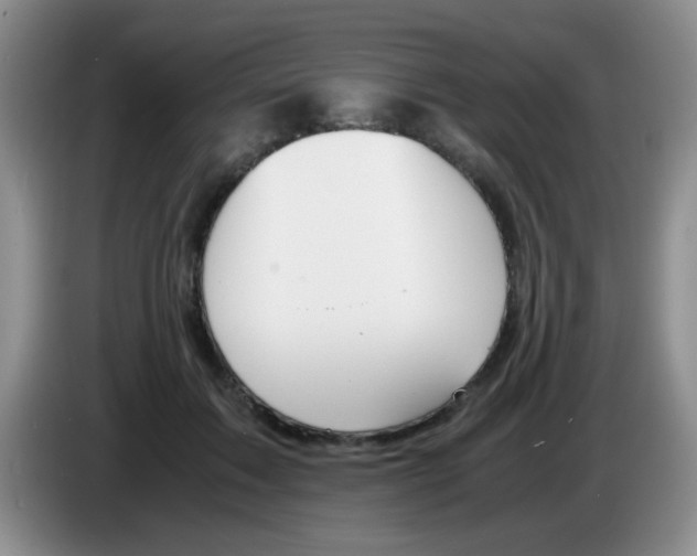 X0000083580603200703091700