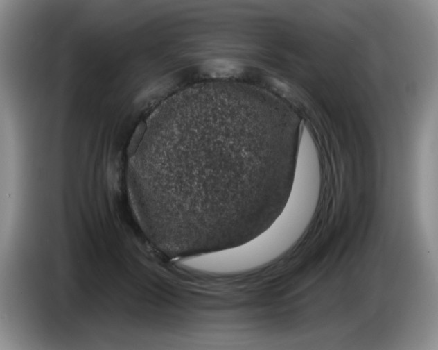 X0000083580604200703091700