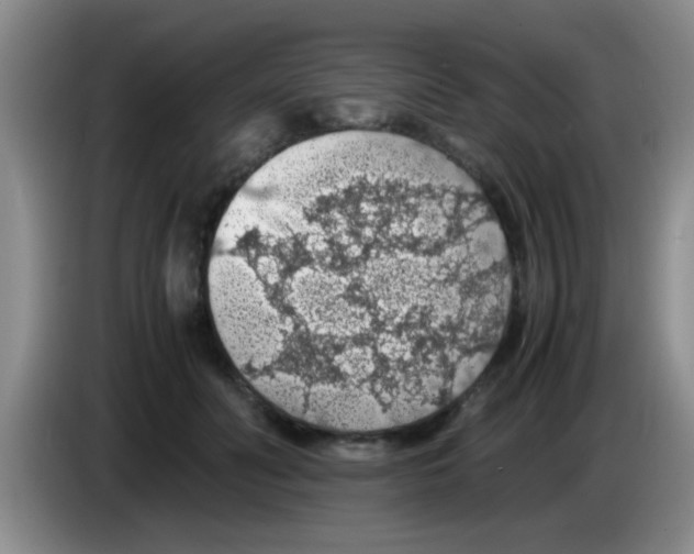 X0000083580606200703091700