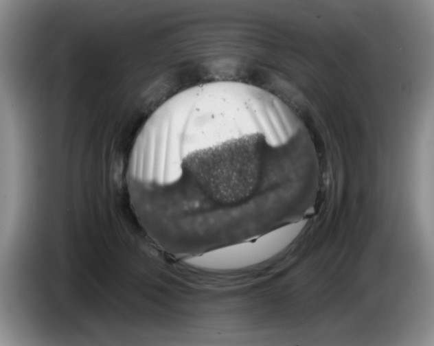 X0000083580610200703091700