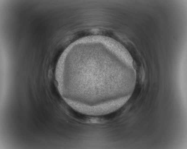 X0000083580611200703091700