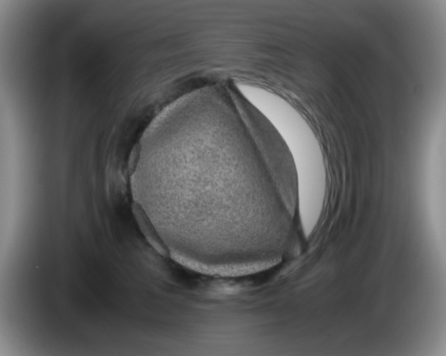 X0000083580613200703091700