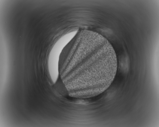 X0000083580616200703091700