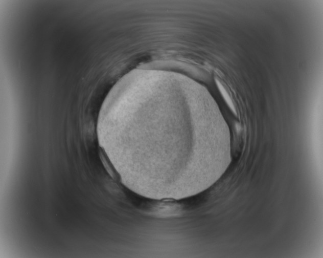 X0000083580617200703091700