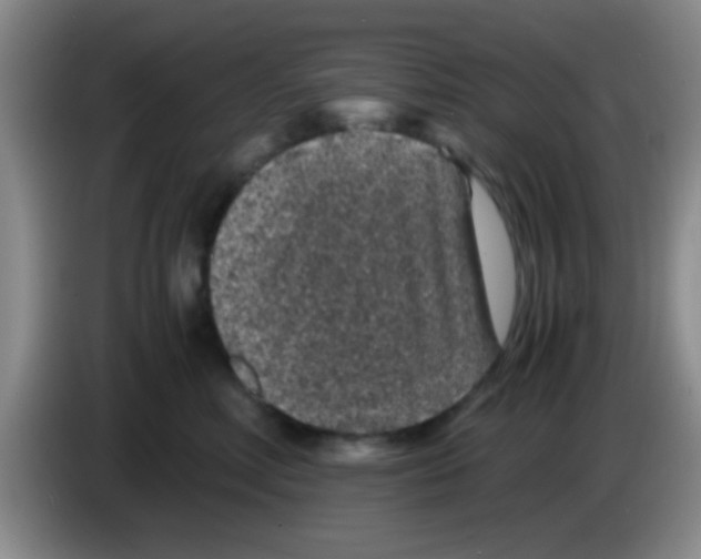 X0000083580618200703091700