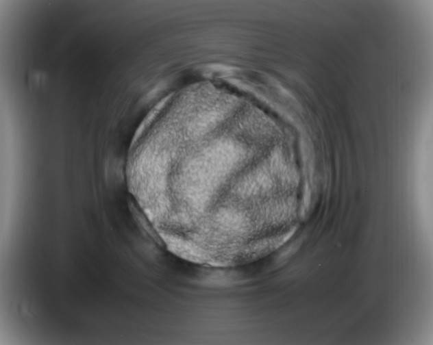 X0000083580621200703091700