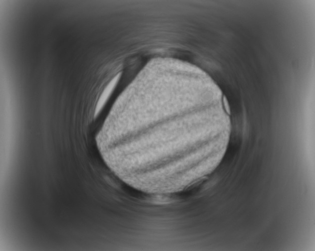 X0000083580623200703091659