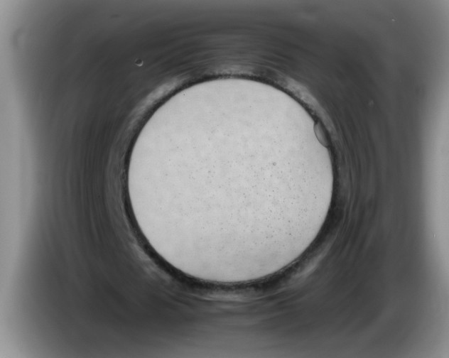 X0000083580625200703091659