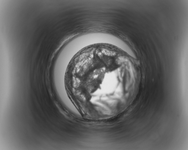 X0000083580626200703091659