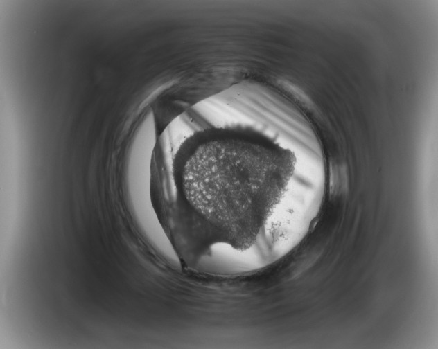 X0000083580627200703091659