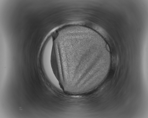 X0000083580628200703091659