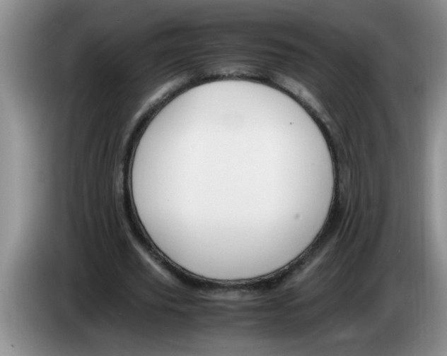 X0000083580629200703091659