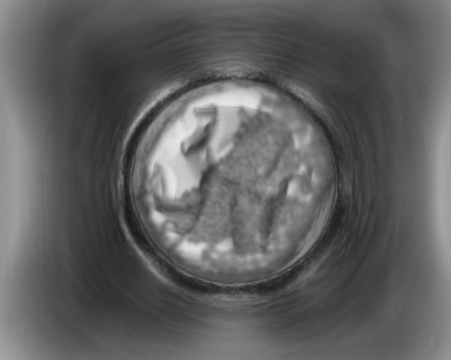 X0000083580630200703091659