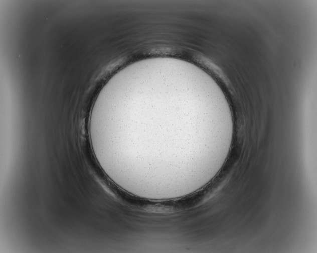 X0000083580633200703091659