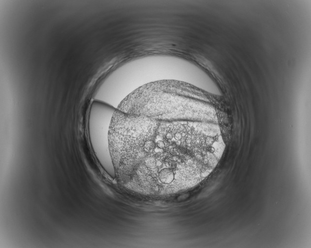 X0000083580634200703091659