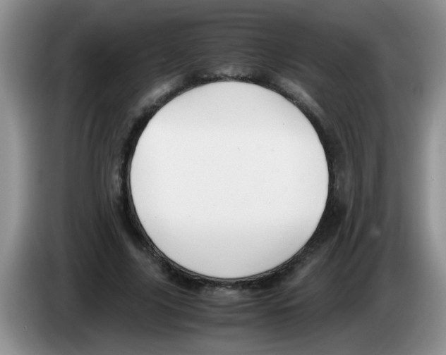 X0000083580635200703091659