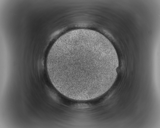 X0000083580636200703091659