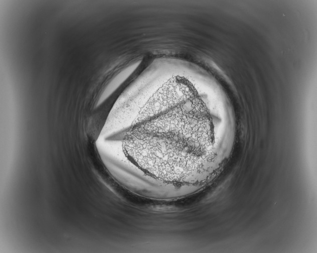 X0000083580637200703091659