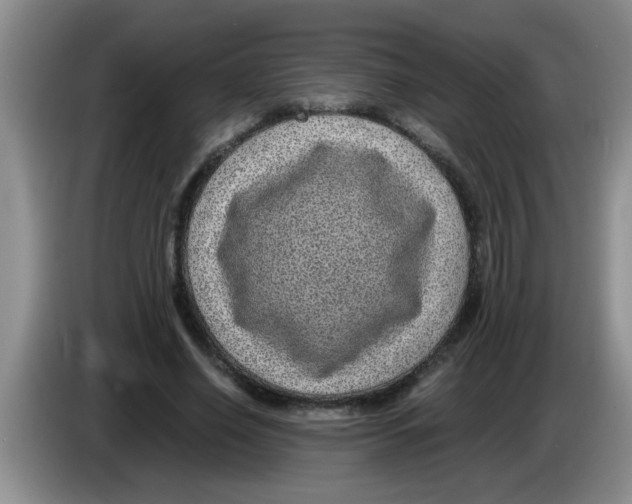 X0000083580638200703091659