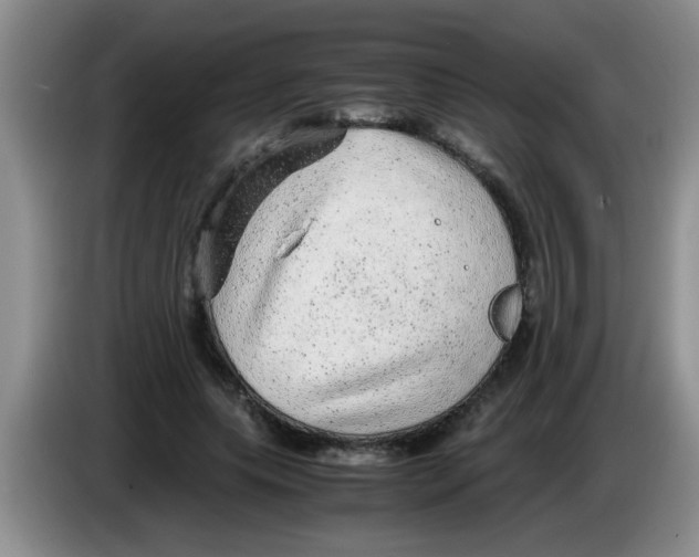 X0000083580639200703091659