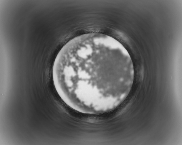 X0000083580641200703091659