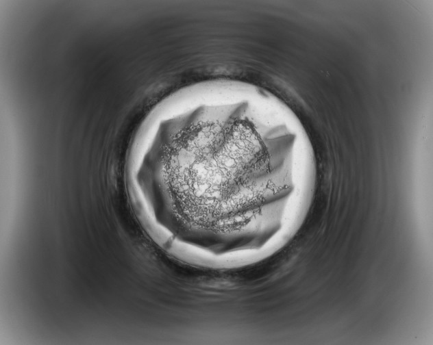 X0000083580643200703091659