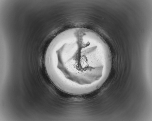 X0000083580644200703091659