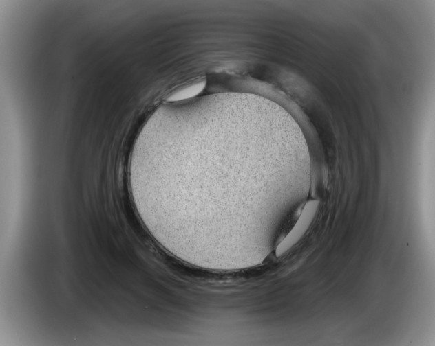 X0000083580646200703091659