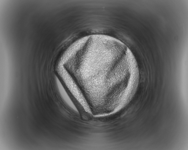 X0000083580648200703091659