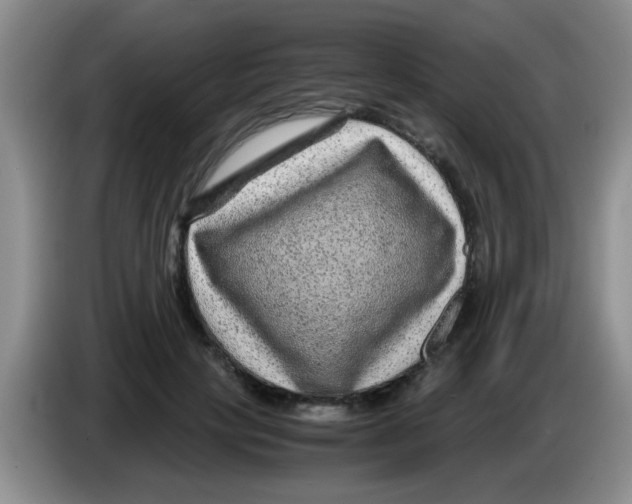 X0000083580649200703091659