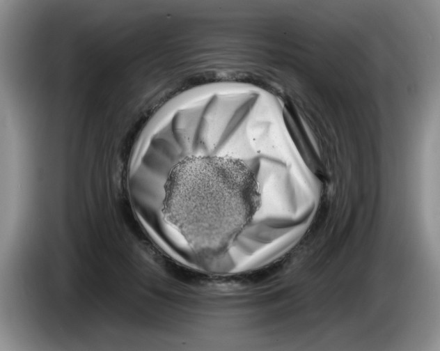 X0000083580650200703091659