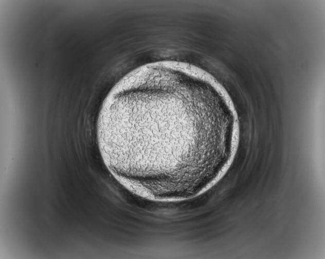X0000083580653200703091659