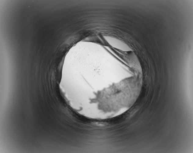 X0000083580654200703091659