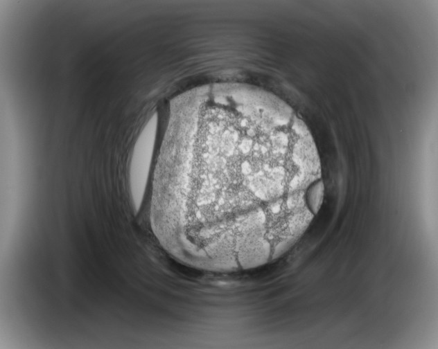 X0000083580658200703091659