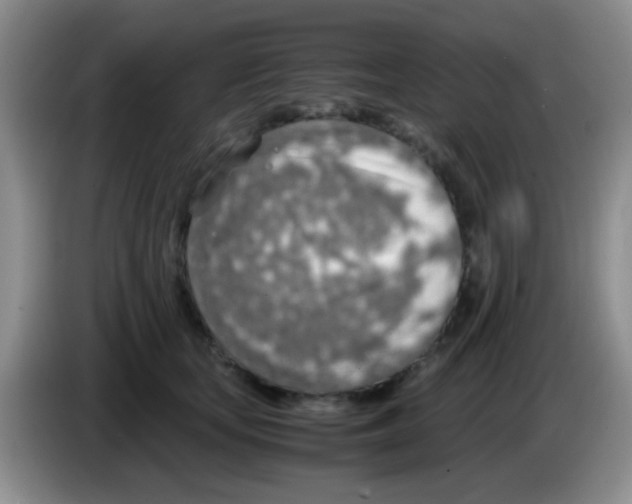 X0000083580659200703091659