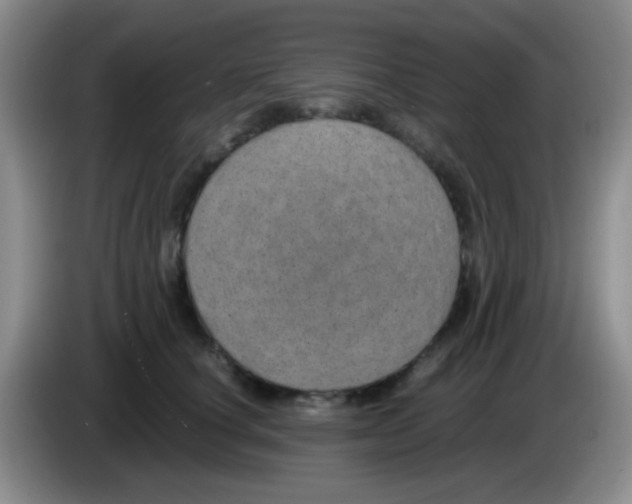 X0000083580660200703091659