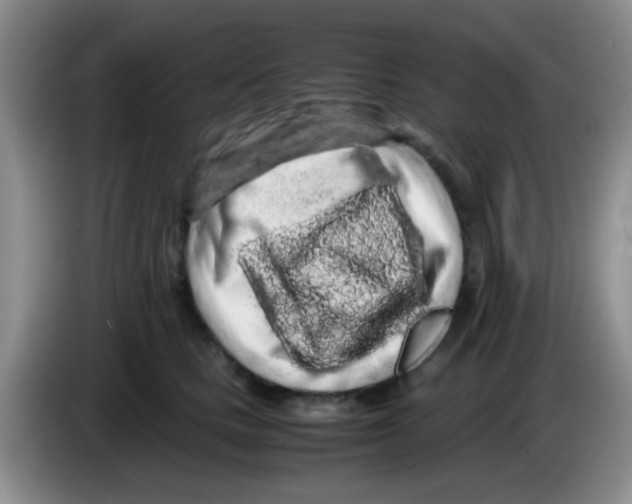 X0000083580661200703091659