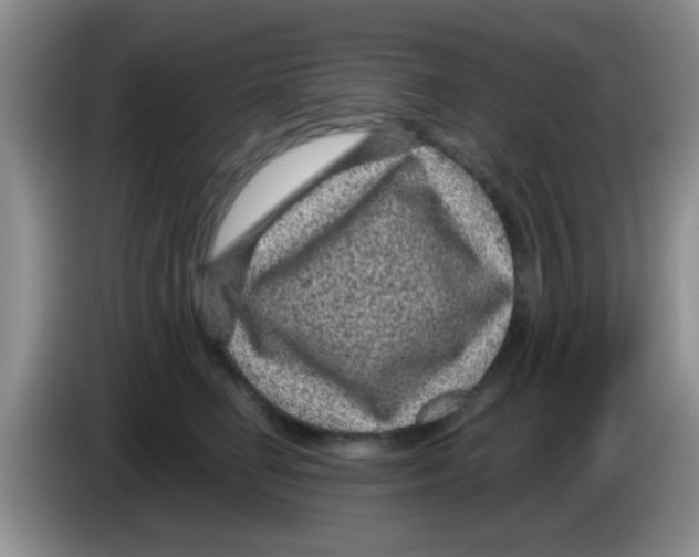 X0000083580662200703091659