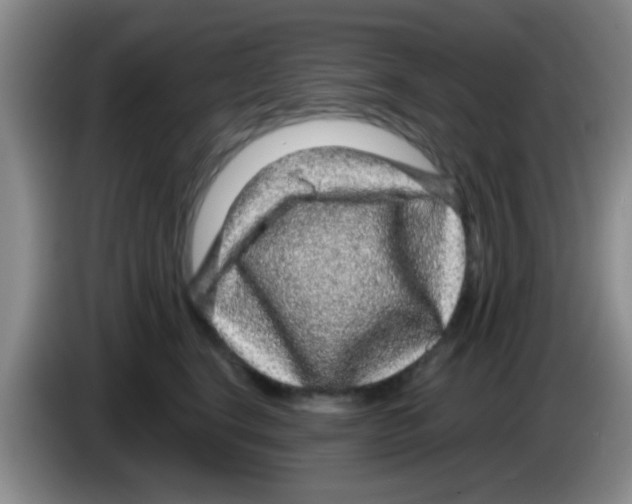 X0000083580664200703091659