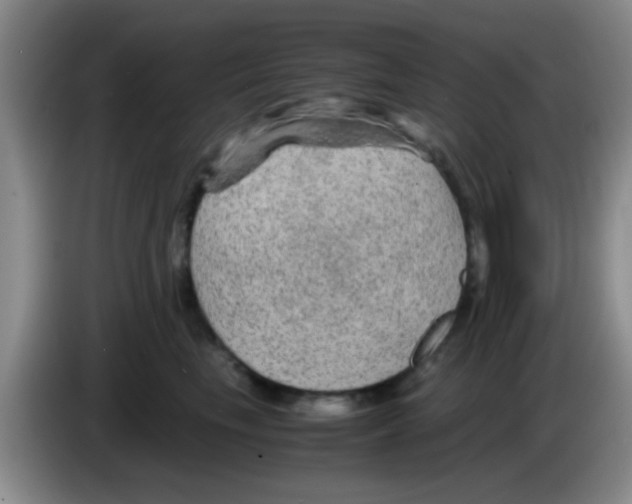 X0000083580665200703091659