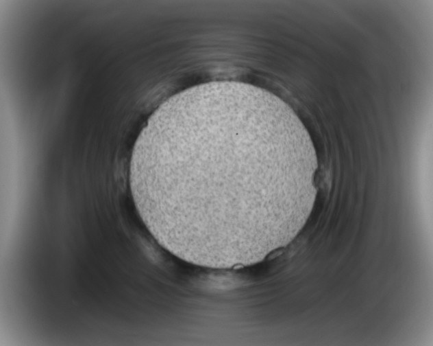 X0000083580666200703091659