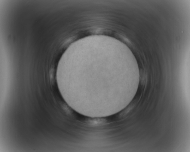 X0000083580670200703091659