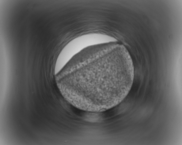 X0000083580671200703091659