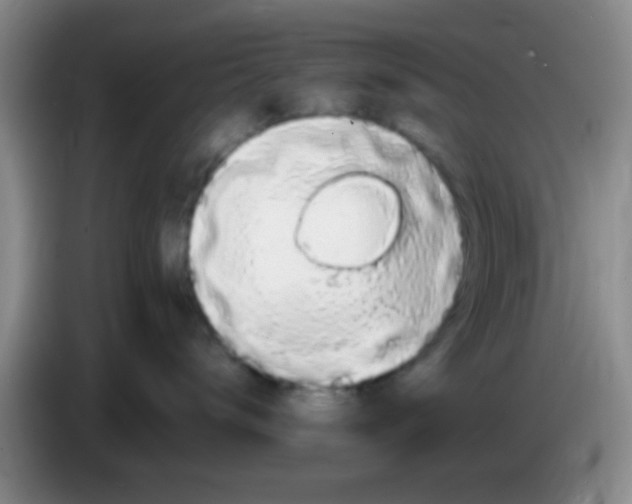 X0000083580672200703091659
