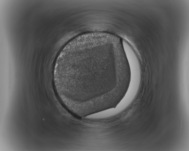 X0000083580673200703091659