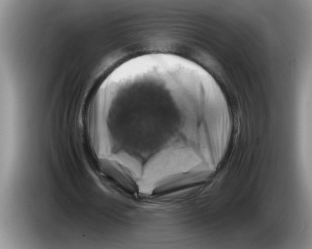 X0000083580674200703091659
