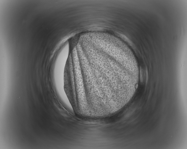 X0000083580675200703091659