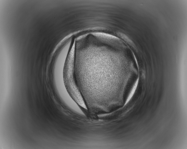 X0000083580676200703091659